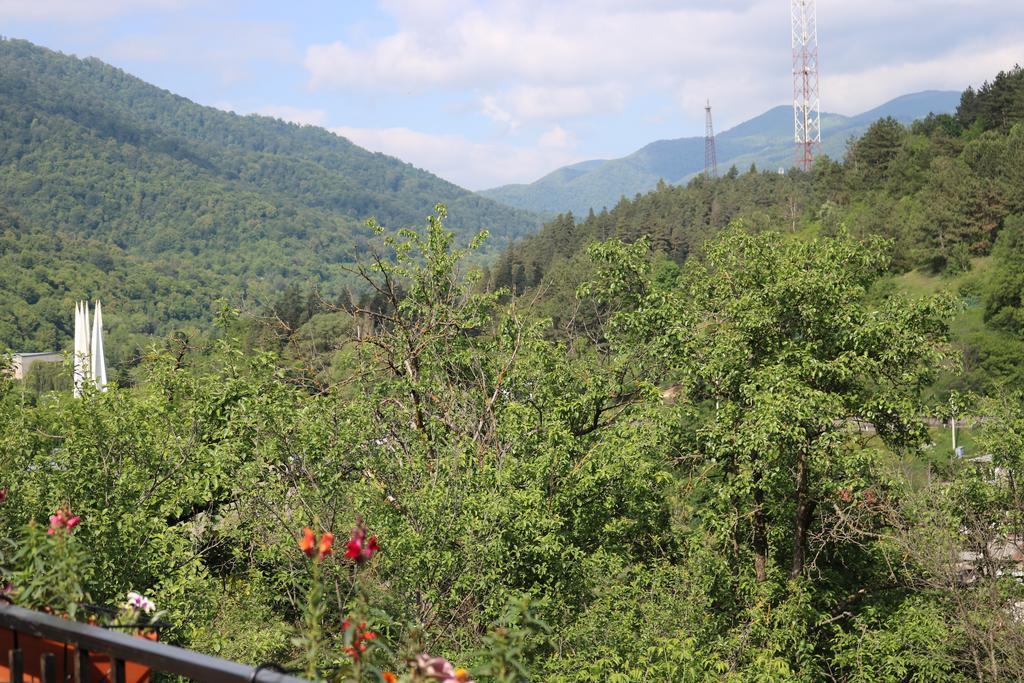 فيلا Dilijan Garden House المظهر الخارجي الصورة